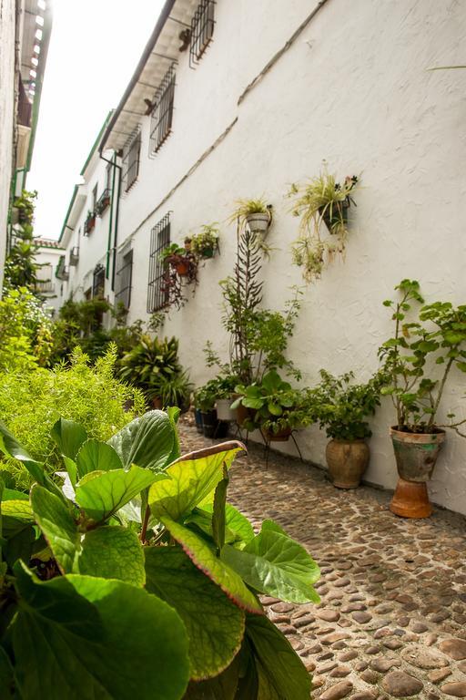 Casa Rural Zambra Priego de Córdoba Kültér fotó